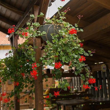 Casa Richter- Check-In Independent Otel Sighişoara Dış mekan fotoğraf