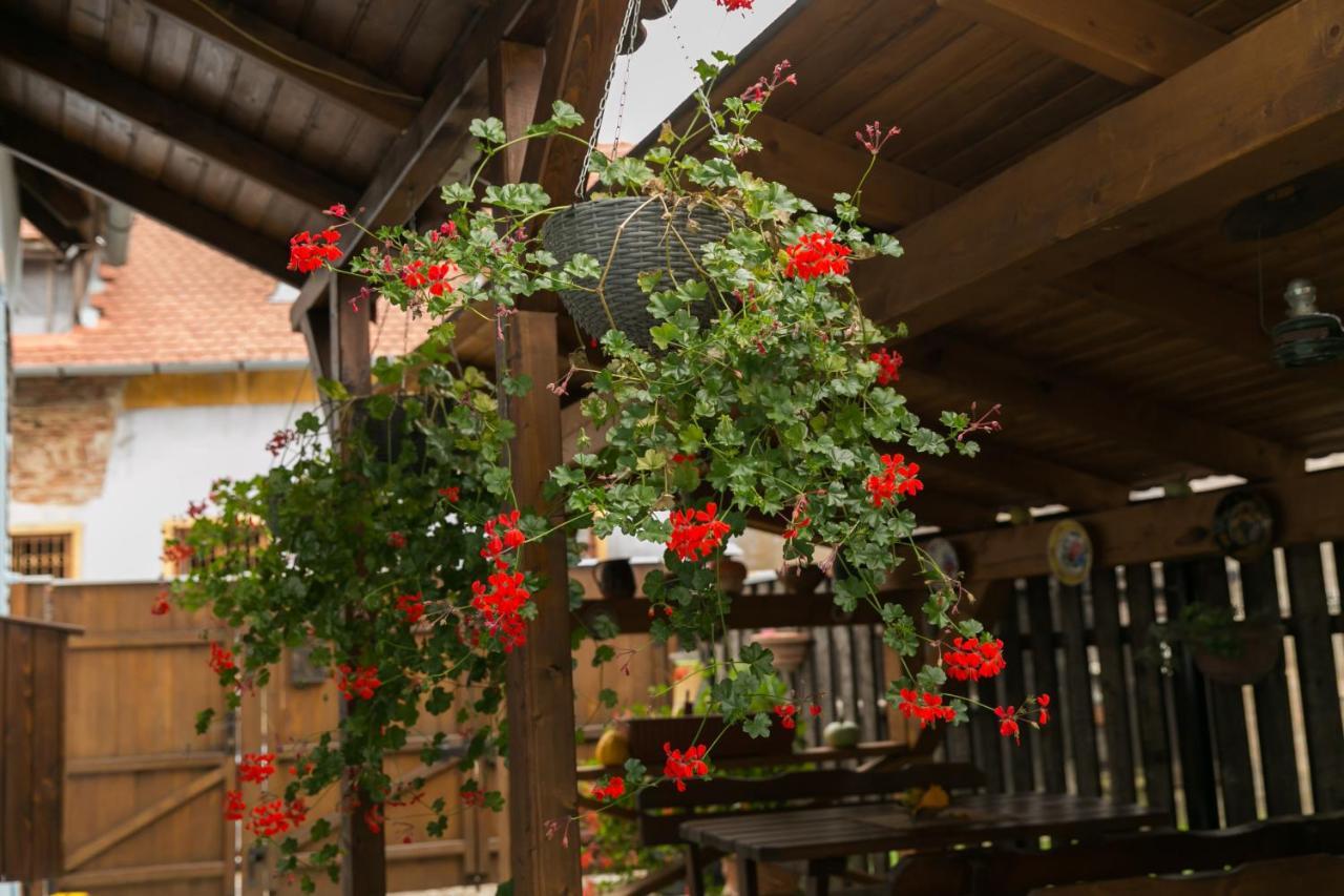 Casa Richter- Check-In Independent Otel Sighişoara Dış mekan fotoğraf